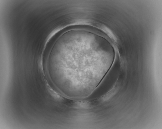 X0000110710952200906191545