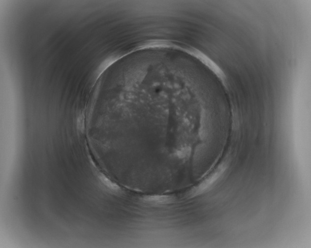 X0000110710953200906191545