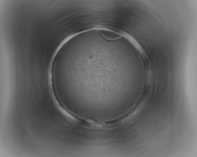 X0000110710955200906191545