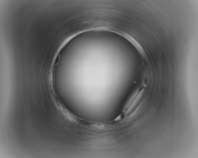 X0000110710956200906191545