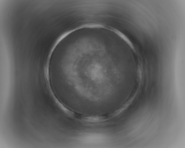 X0000110710959200906191545