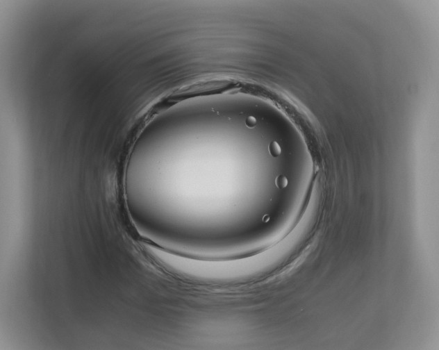 X0000110710969200906191544