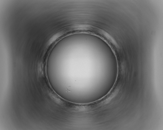 X0000110710970200906191544