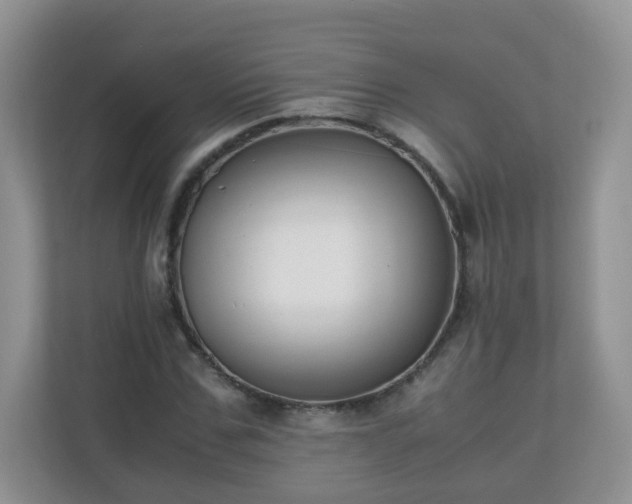 X0000110710971200906191544