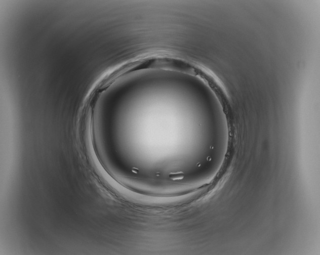 X0000110710973200906191544