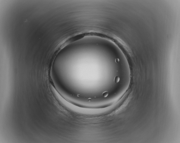 X0000110710977200906191544