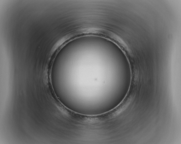 X0000110710978200906191544