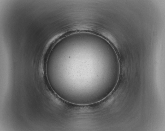 X0000110710979200906191544