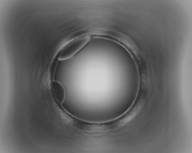 X0000110710981200906191544