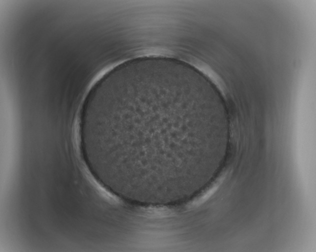 X0000110710983200906191544