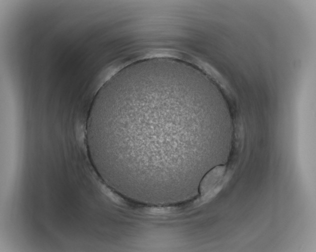 X0000110710985200906191544