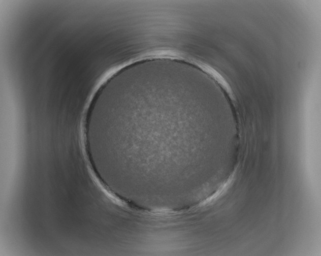 X0000110710989200906191544