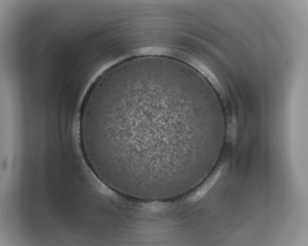 X0000110710992200906191544