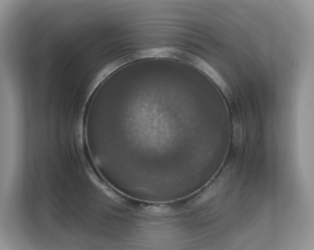 X0000110710994200906191544