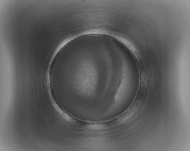 X0000110710998200906191544