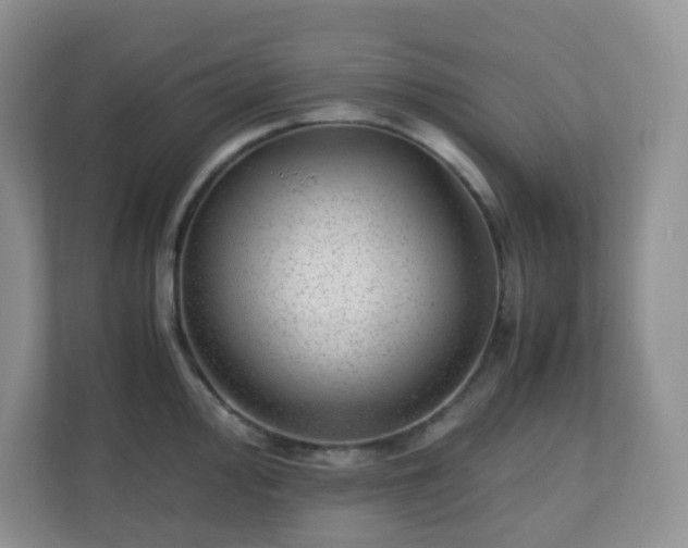 X0000110711000200906191544