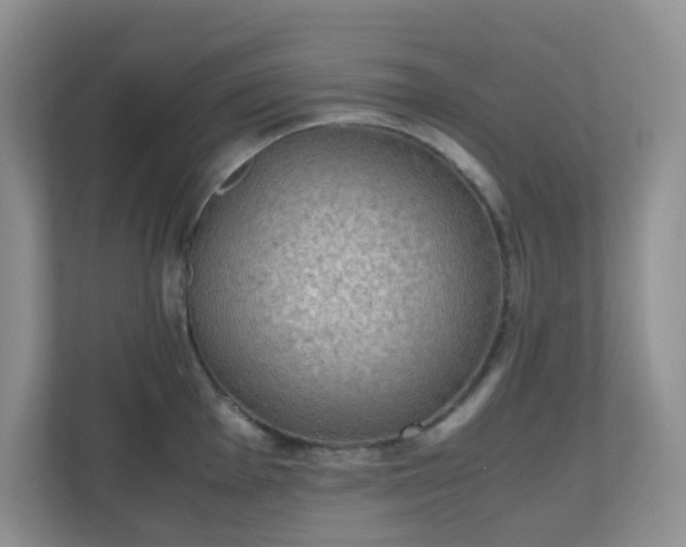 X0000110711001200906191544