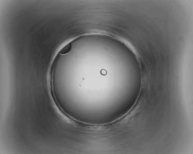 X0000110711003200906191544