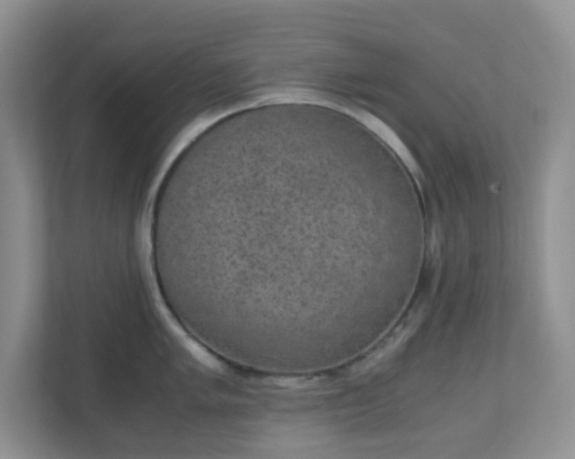 X0000110711005200906191544