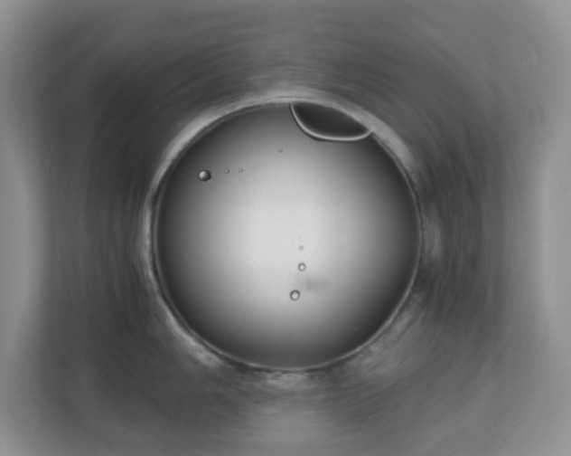 X0000110711006200906191544