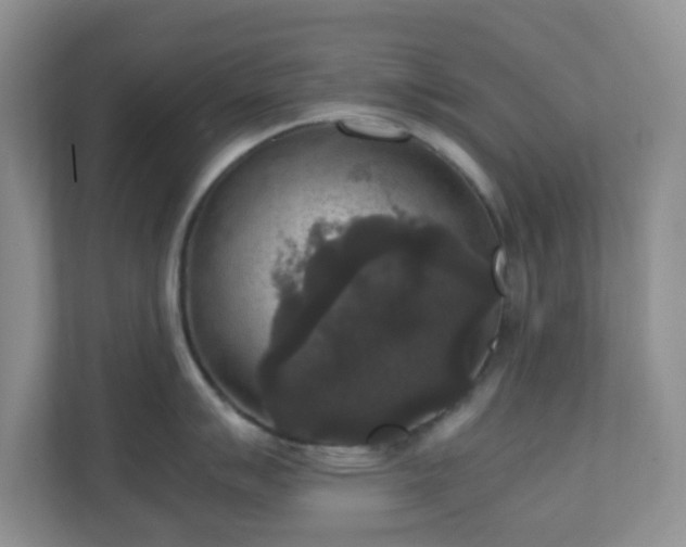 X0000110711007200906191544