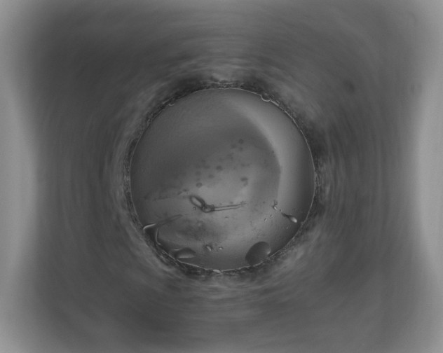 X0000110711009200906191543