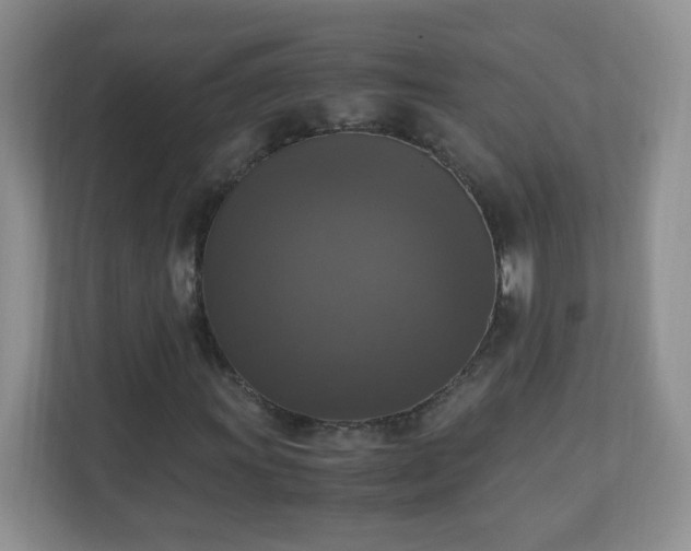 X0000110711011200906191543