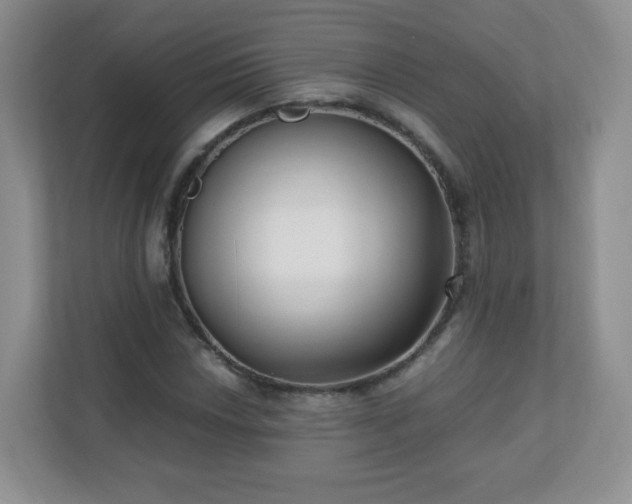 X0000110711018200906191543