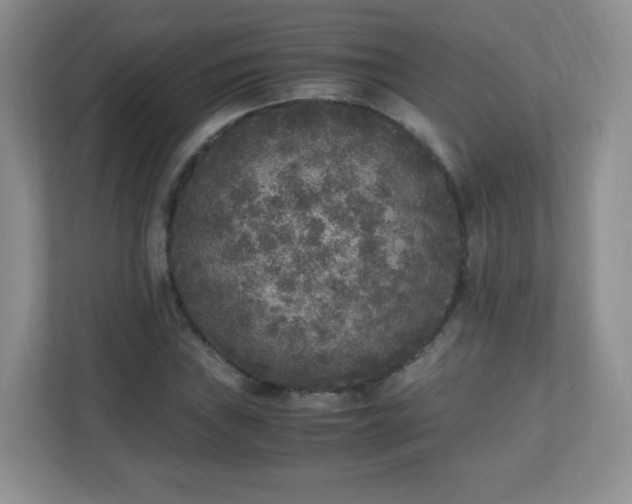 X0000110711019200906191543