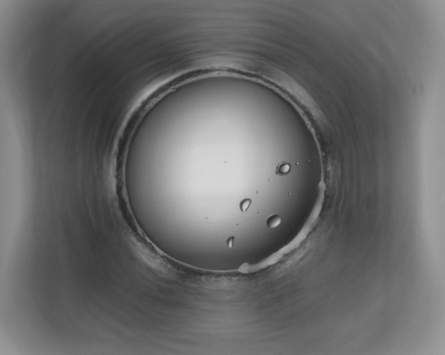 X0000110711020200906191543
