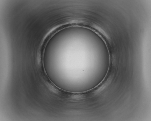 X0000110711021200906191543