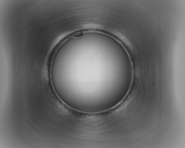X0000110711022200906191543