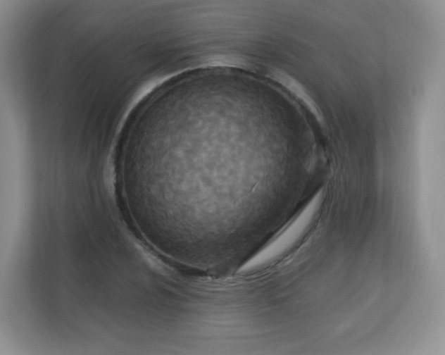 X0000110711024200906191543