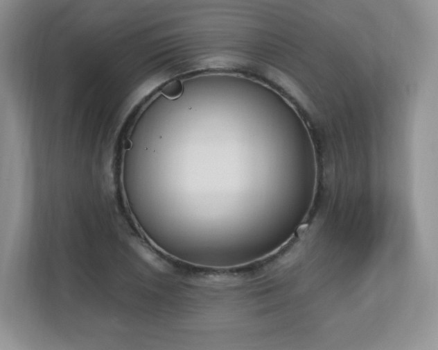 X0000110711026200906191543