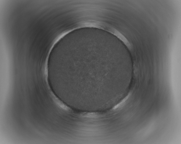 X0000110711028200906191543