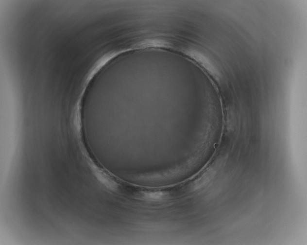 X0000110711031200906191543