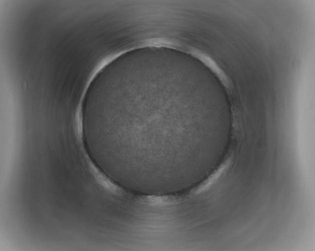 X0000110711032200906191543