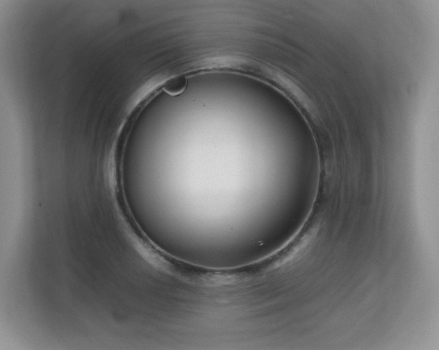 X0000110711034200906191543