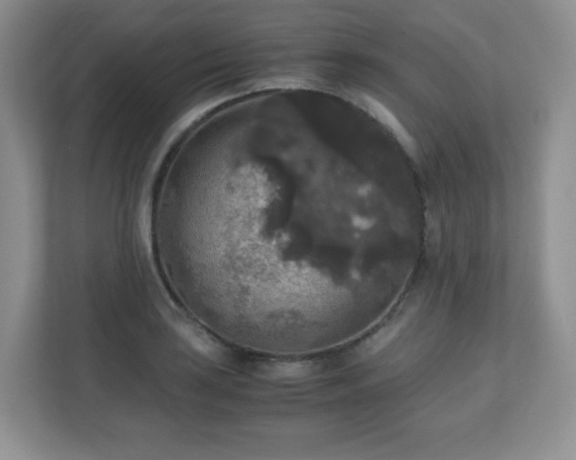 X0000110711035200906191543