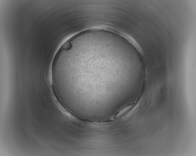 X0000110711036200906191543