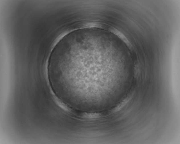 X0000110711039200906191543