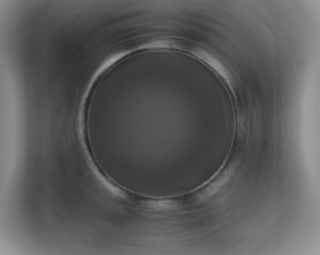 X0000110711045200906191543