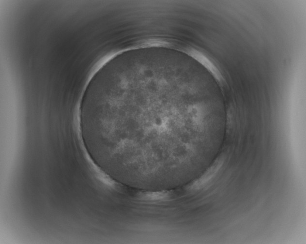 X0000110711047200906191543