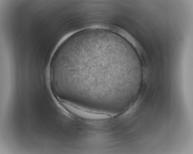 X0000110711048200906191543