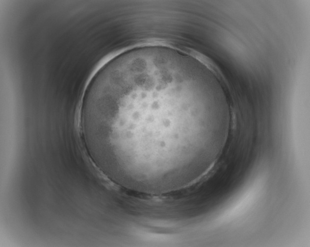 X0000110711052200906191543