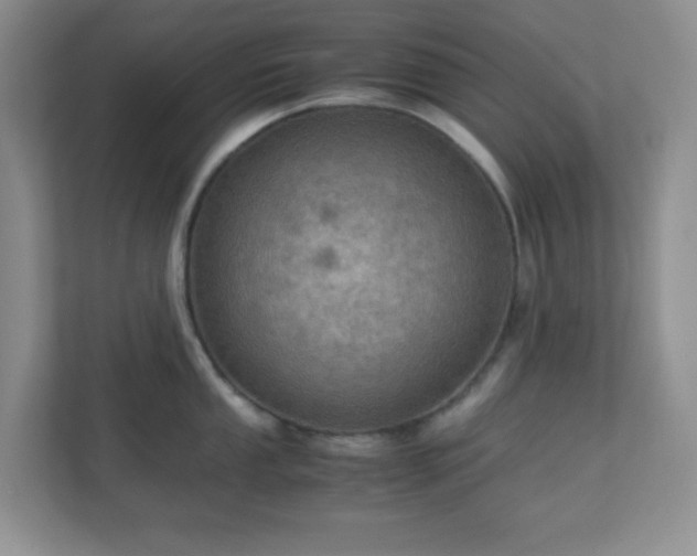 X0000110711053200906191544
