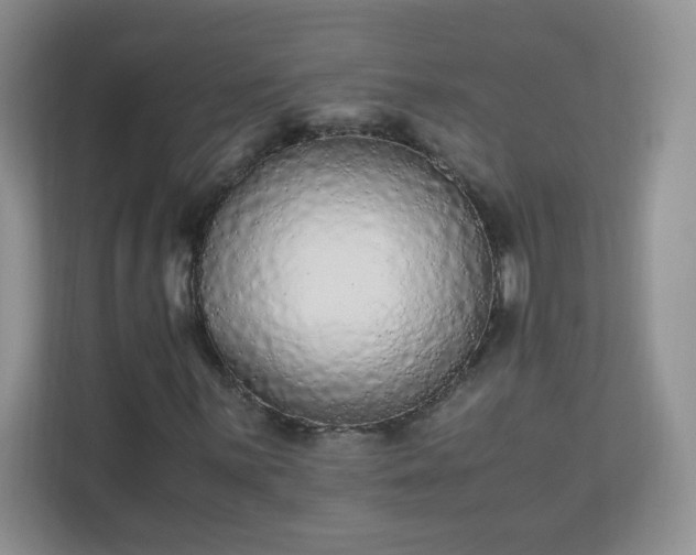 X0000110711059200906191543