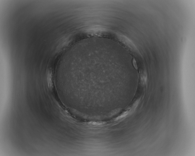 X0000110711060200906191543