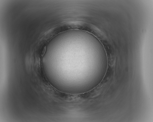 X0000110711061200906191543