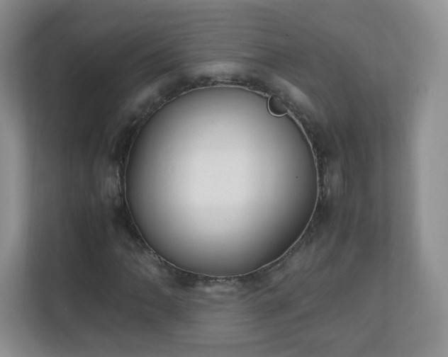 X0000110711062200906191543
